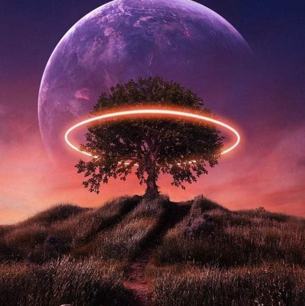 Love Spells Reviews Africa