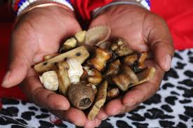 Sangoma School & Ukuthwasa
