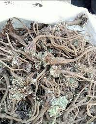 Chase away tokoloshe or evil spirits Remove curses and bad