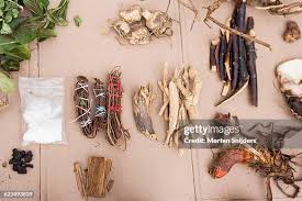 Herbal remedies for body pains Treatment for chronic illnesses Herbal fertility boosters