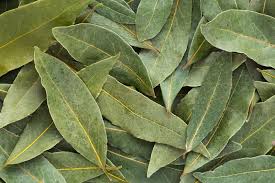 Spells to Remove Bad Luck and Attract Prosperity