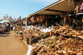 Explore the Magic of the Muti Market in South Africa The Muti Market in South Africa is more than just a place to buy herbs — it’s a world of ancient healing, traditional wisdom, and spiritual connection. For centuries, people have trusted these sacred markets to find remedies that bring love, protection, health, and good fortune.