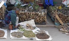 Spiritual Healer in Homewood If you’re searching for peace, love, and guidance, Dr. Esatu is a spiritual healer in Homewood who connects deeply with the ancestors to restore harmony in your heart and life. Through powerful rituals and divine communication, he helps remove blockages that stop love, happiness, and emotional balance. ✨ Chat with Dr. Esatu on WhatsApp: https://wa.me/27810122467 📞 Call Now: +27810122467 💫 Feel spiritual peace and emotional healing begin today.