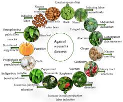 Bring Quick Financial Breakthroughs with Spiritual Power in tazania